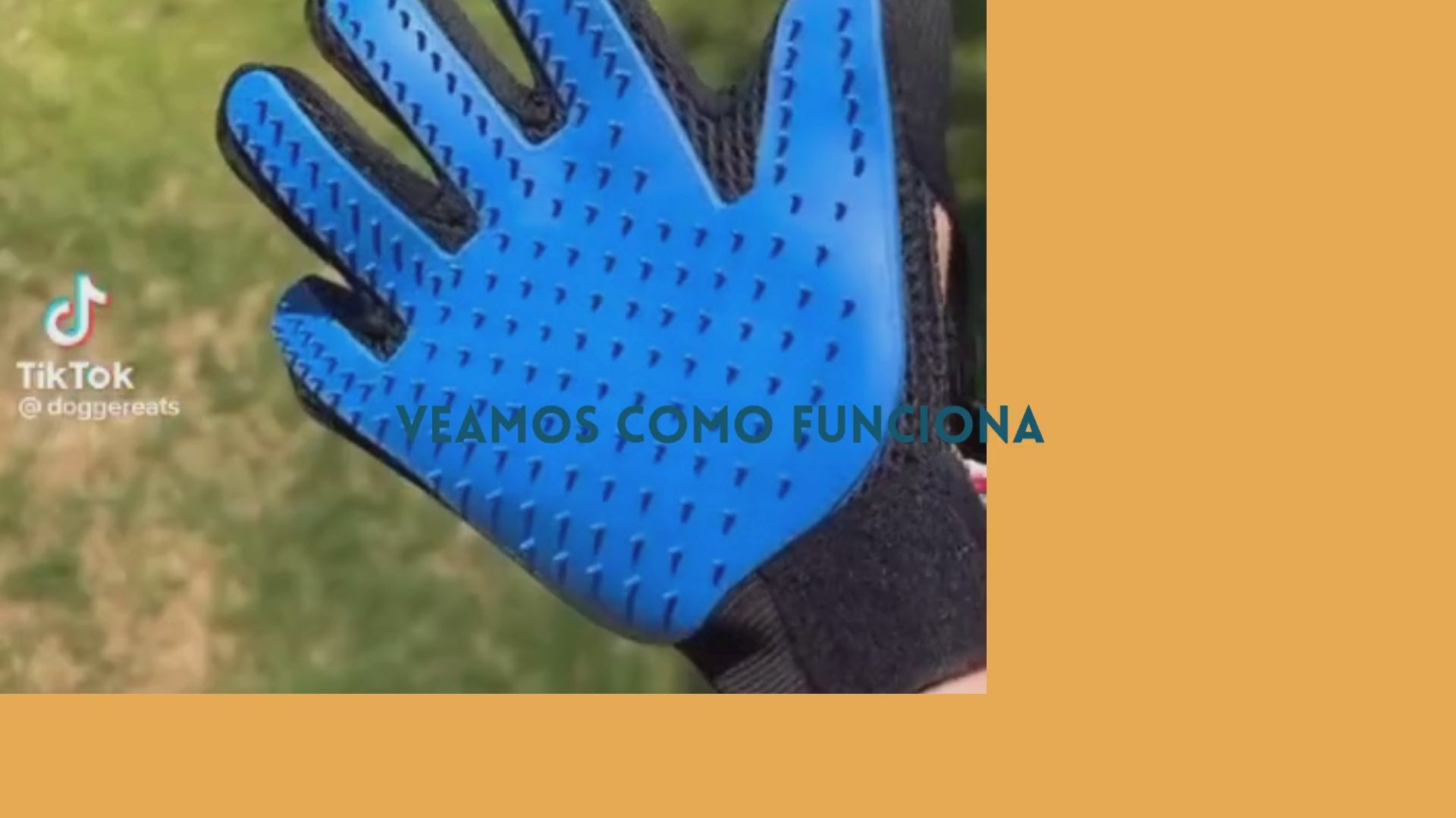 Load video: Para perro, gatos y la mascota que quieras.